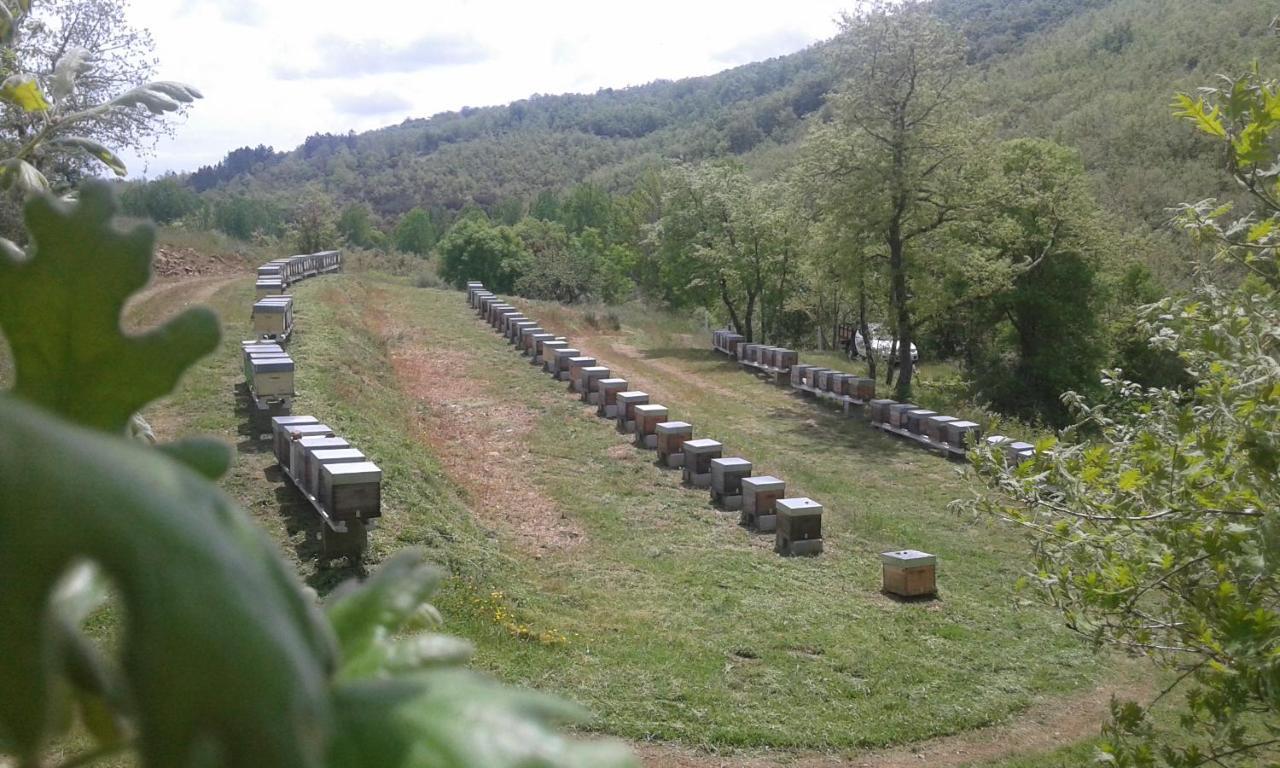 Apimonte O Cantinho Da Maria - Pn Montesinho Bragança Exterior foto